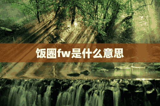 饭圈fw是什么意思